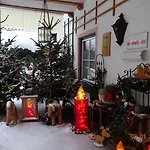 Hotel-garni Schernthaner 3*