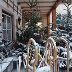 Ξενοδοχείο Hotel-garni Schernthaner 3*