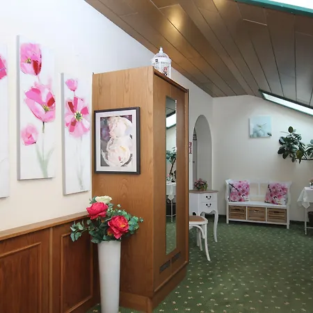 Hotel-garni Schernthaner 3*