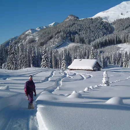 Hotel-garni Schernthaner 3*