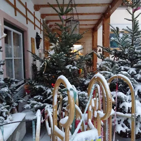 Hotel Hotel-garni Schernthaner 3*