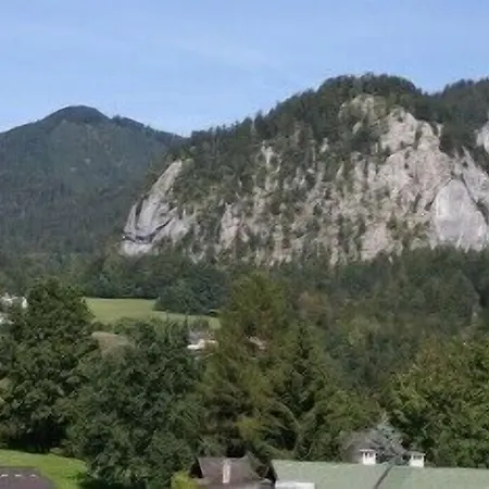 Otel Hotel-garni Schernthaner 3*