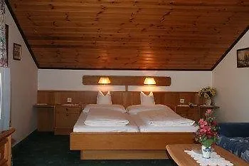 Hotel Hotel-garni Schernthaner 3*