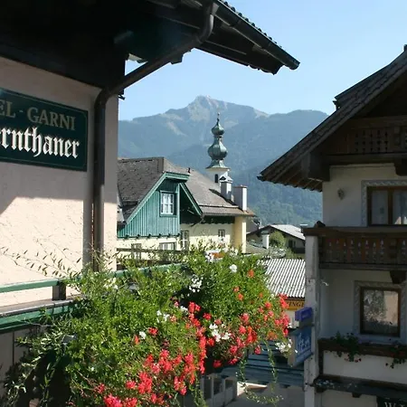 Hotel-garni Schernthaner Hotel 3*
