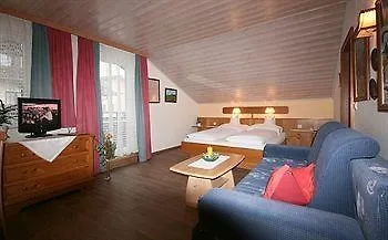 Hotel Hotel-garni Schernthaner 3*