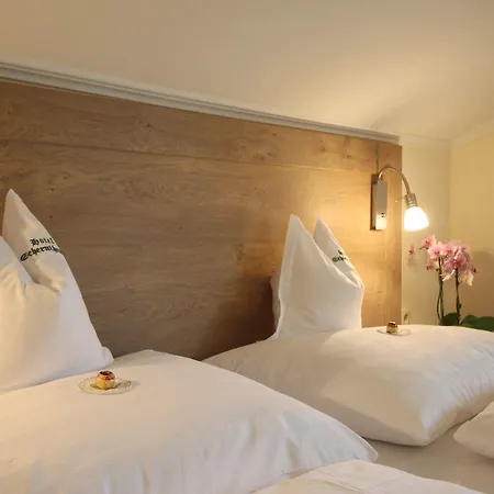 Hotel Hotel-garni Schernthaner